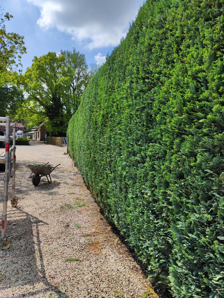 Tuinservice, Garantie, Tuinonderhoud of Snoeiwerk