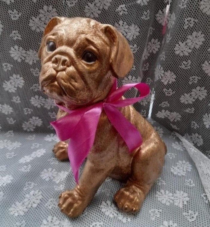 Mooie goud kleurige mops hond, Ophalen of Verzenden