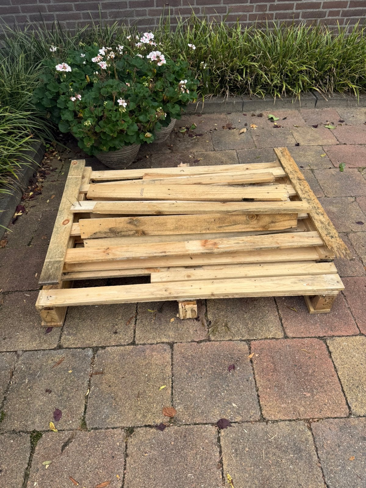 Gratis af te halen pallet, Doe-het-zelf en Verbouw, Hout en Planken, Ophalen, Gebruikt, 50 mm of meer, Minder dan 200 cm