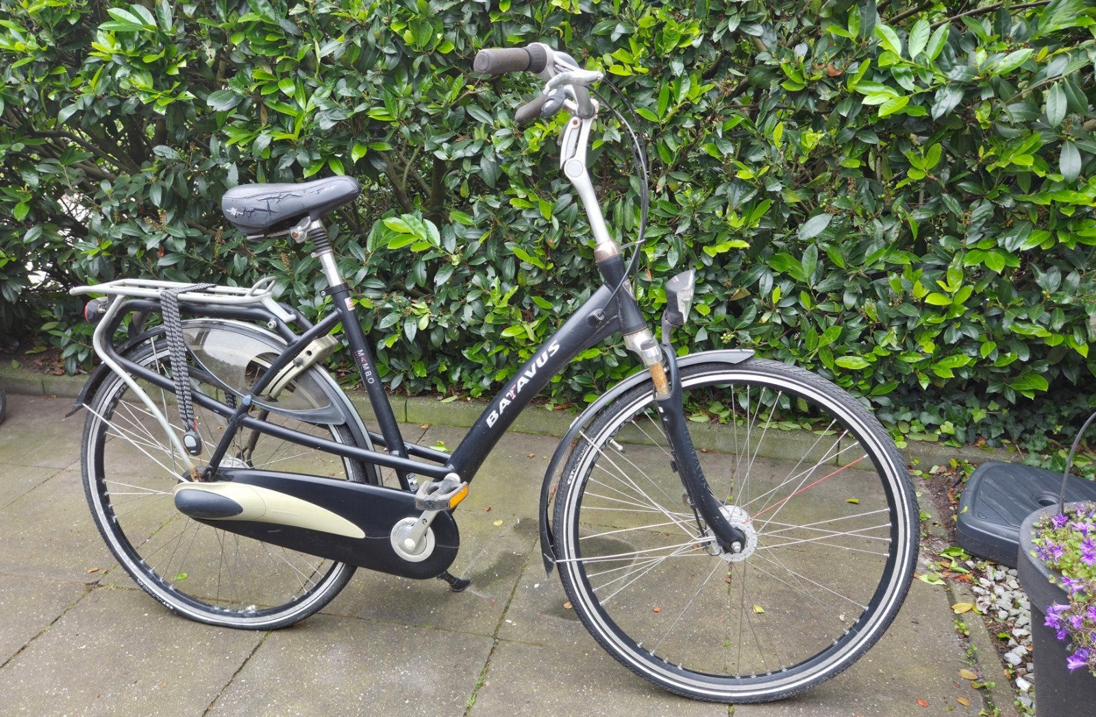 Batavus Damesfiets met 7 Versnellingen en Lage Instap, Fietsen en Brommers, Fietsen | Dames | Damesfietsen, Velgrem, Batavus, Versnellingen