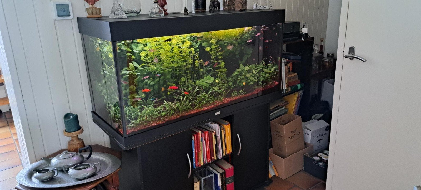 Aquariumbak met meubel, Dieren en Toebehoren, Vissen | Aquaria en Toebehoren, Ophalen