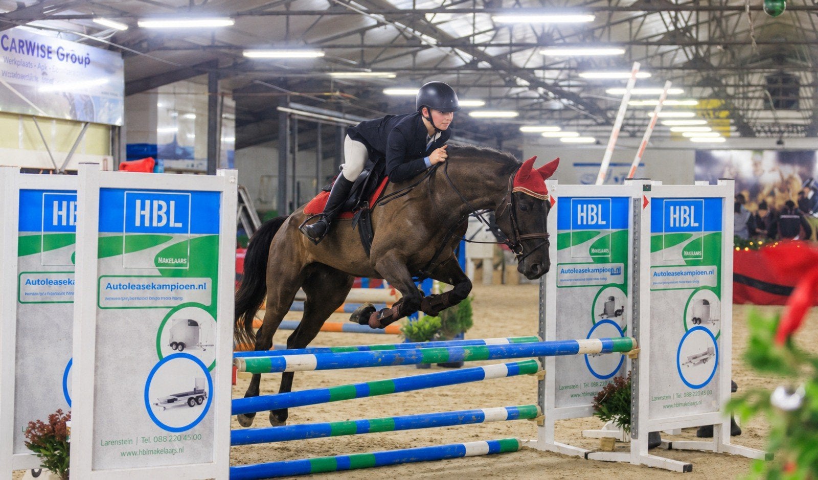 Ponys beleren en doorrijden, Weidegang, 4 paarden of pony's of meer