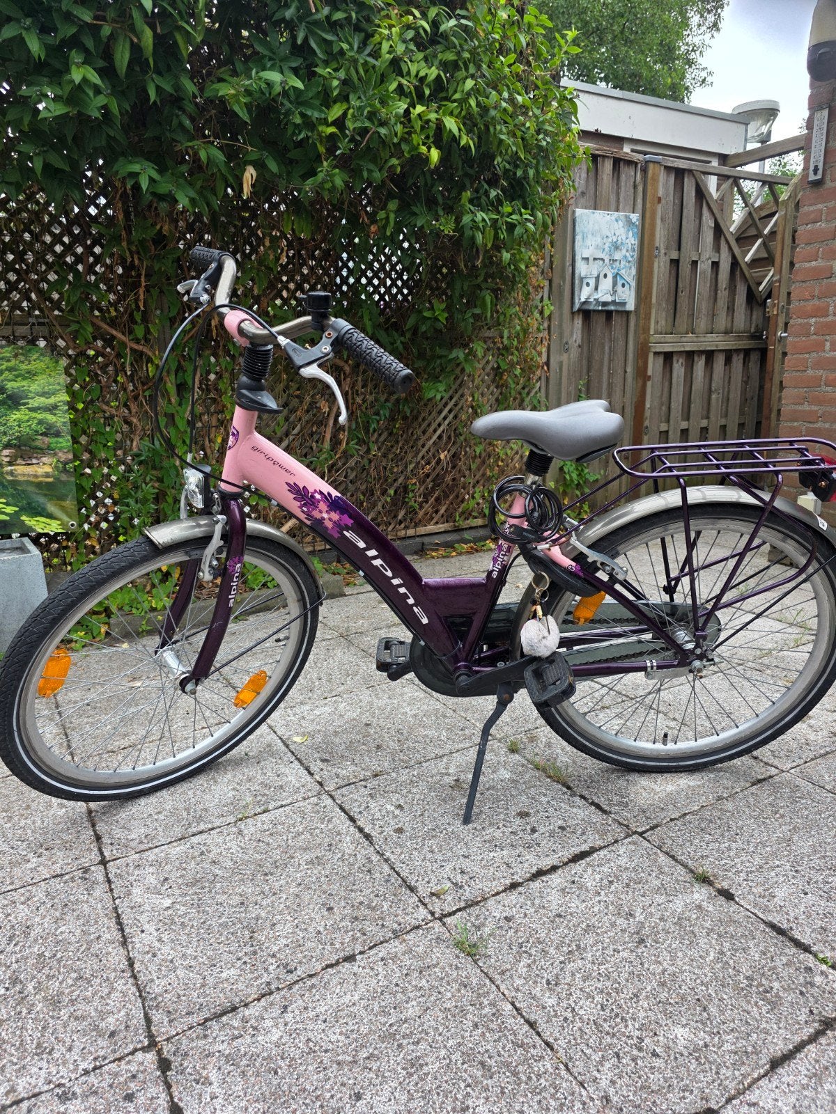 fiets Alpina Girlpower, Fietsen en Brommers, Fietsen | Meisjes, Ophalen of Verzenden, Gebruikt, 24 inch