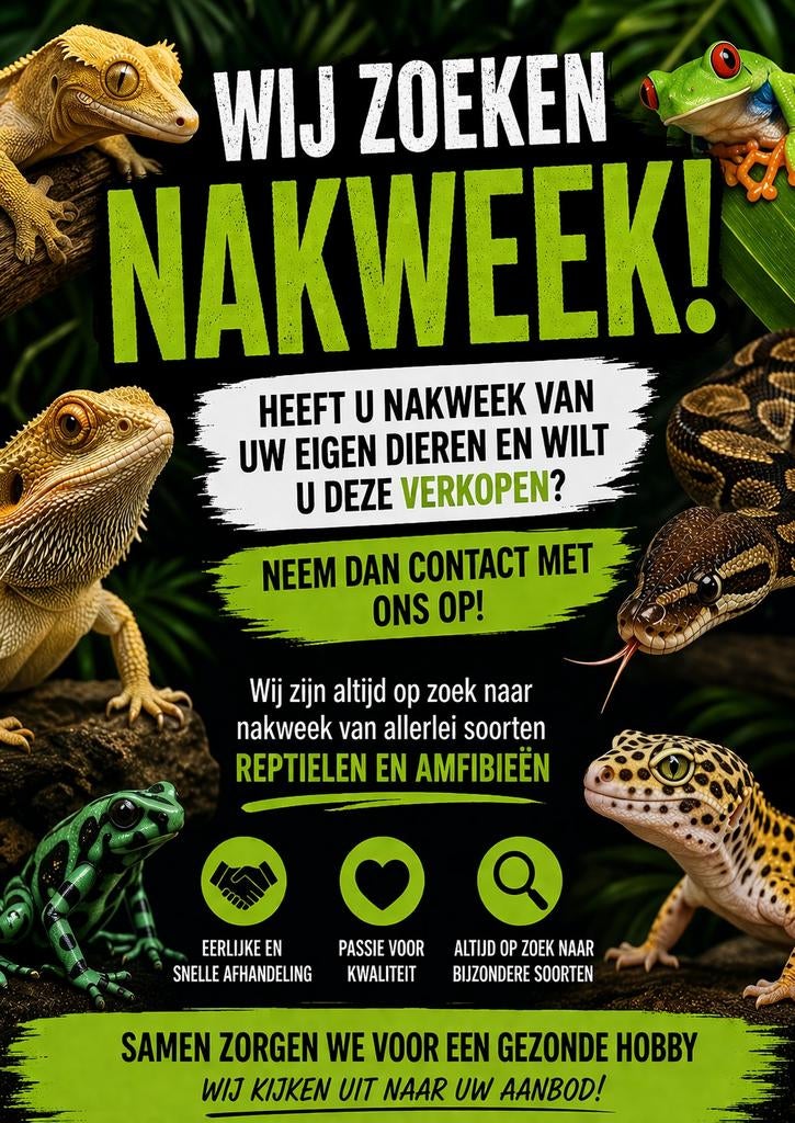 Nakweek gezocht, Hagedis, 0 tot 2 jaar