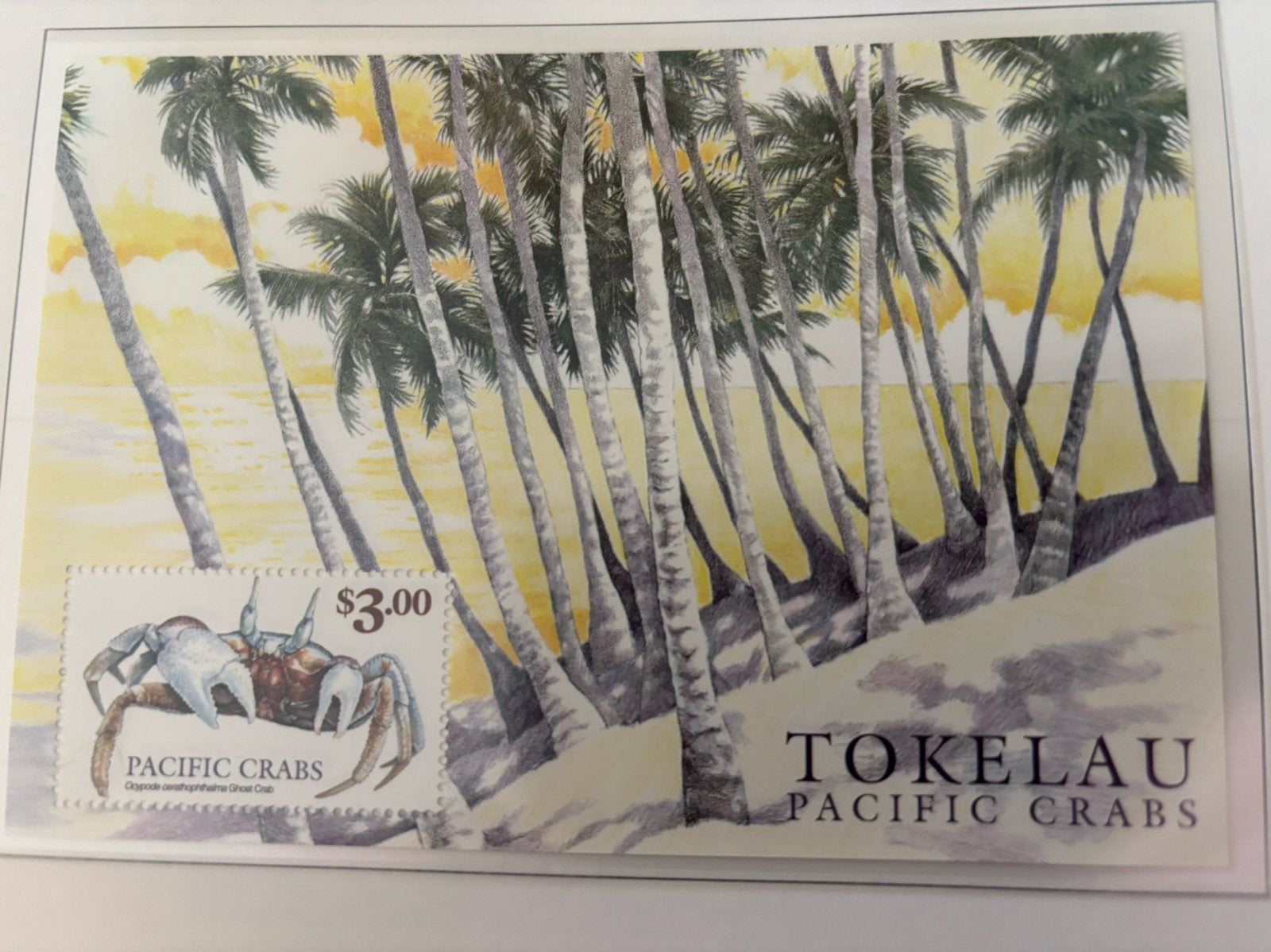 Tokelau-eilanden 1999, Postzegels en Munten, Ophalen of Verzenden, Postfris
