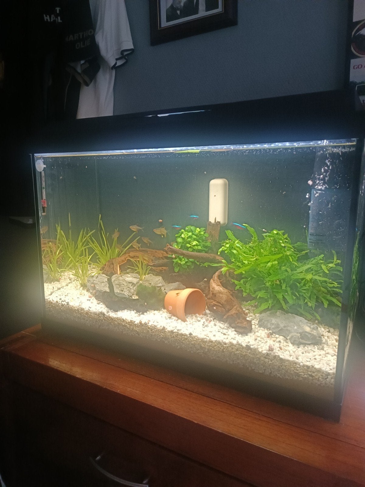 AQUARIUM, Ophalen, Gevuld zoetwateraquarium