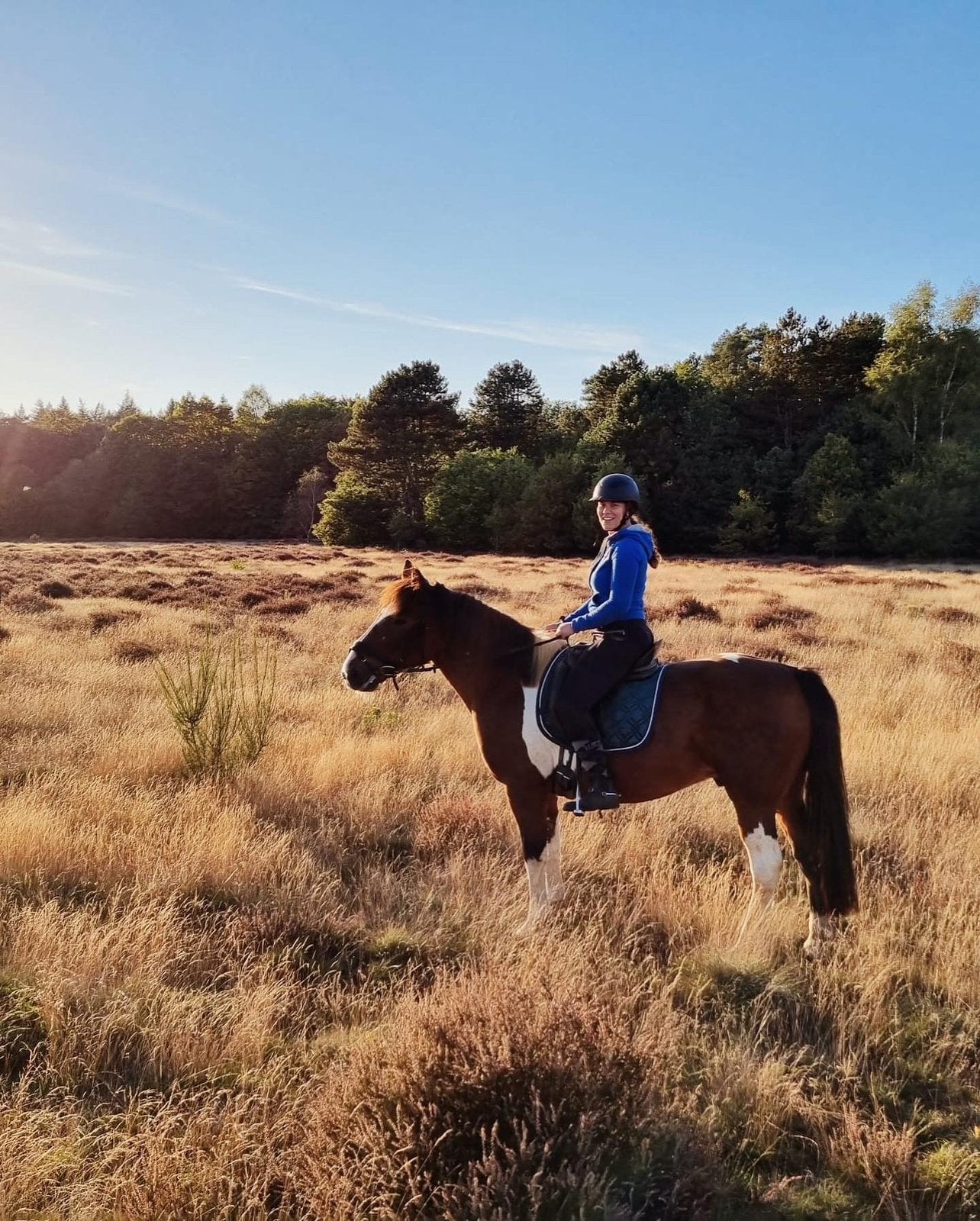 Gezocht: Nuchter buitenrij paard, Ophalen