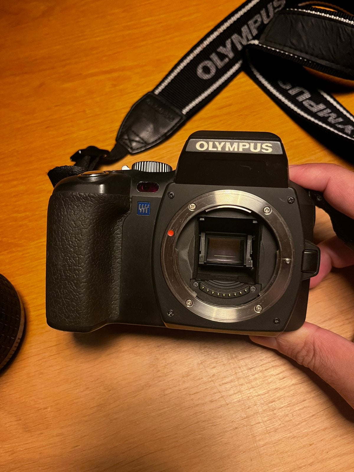 Olympus E-500 – Kodak CCD Sensor DSLR, Spiegelreflex, Ophalen of Verzenden, Zo goed als nieuw, Olympus