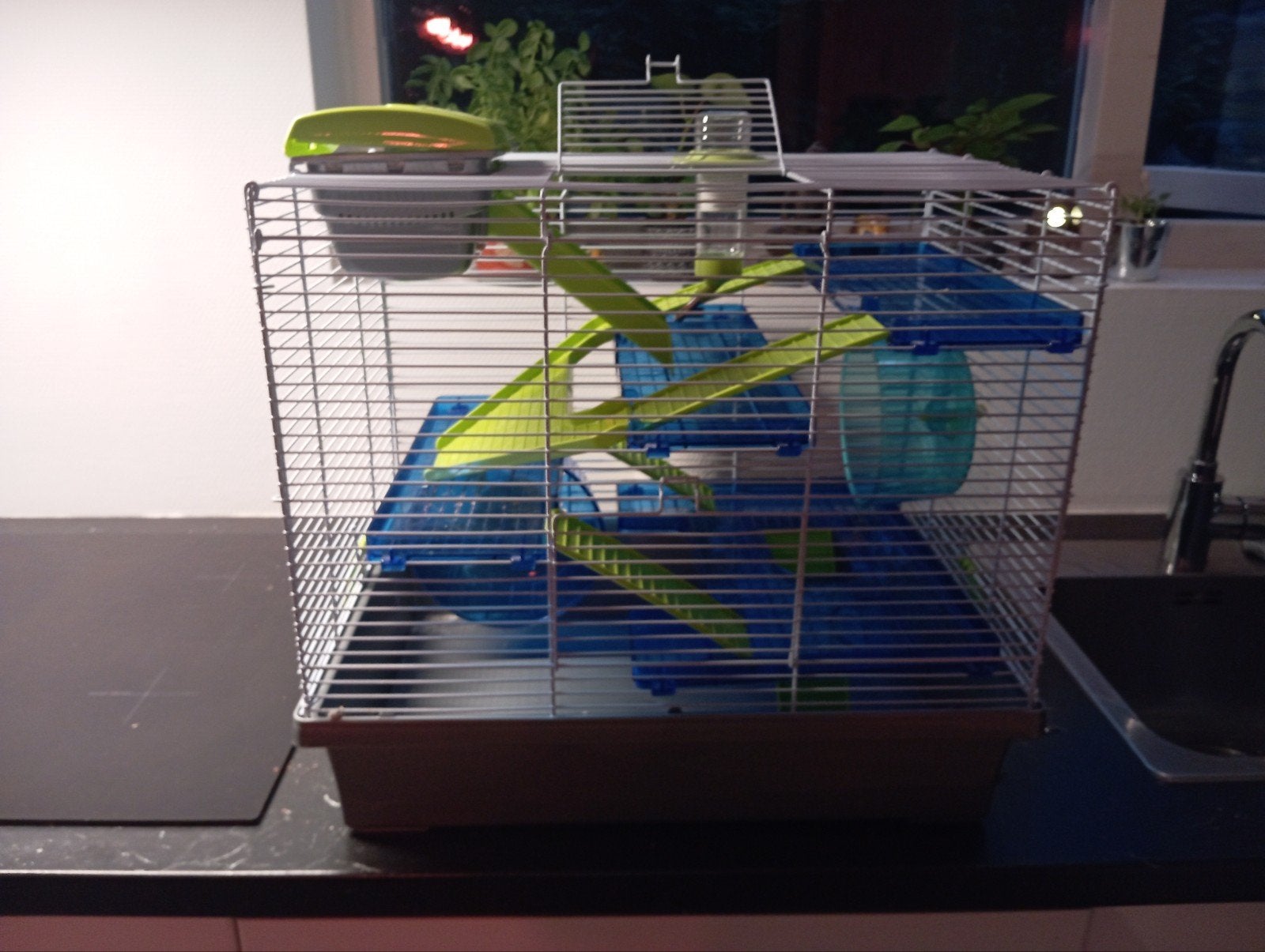 hamsters kooi, Kooi, Minder dan 75 cm, Zo goed als nieuw, Hamster