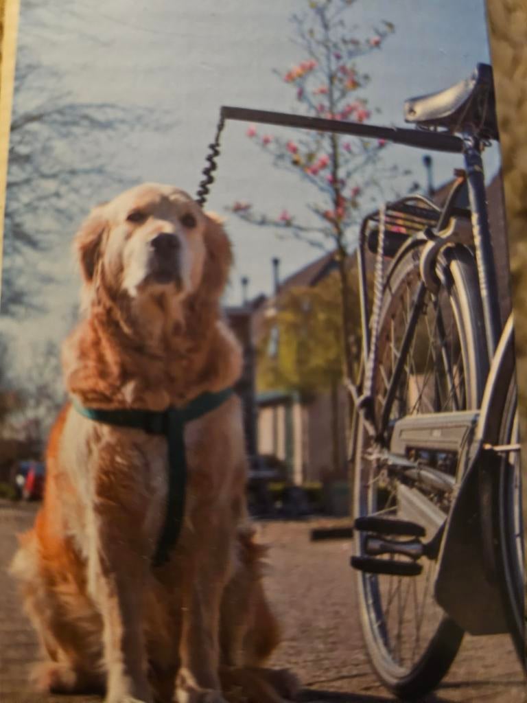Beeztees Sportino fietsafstandhouder voor honden, Ophalen of Verzenden, Nieuw