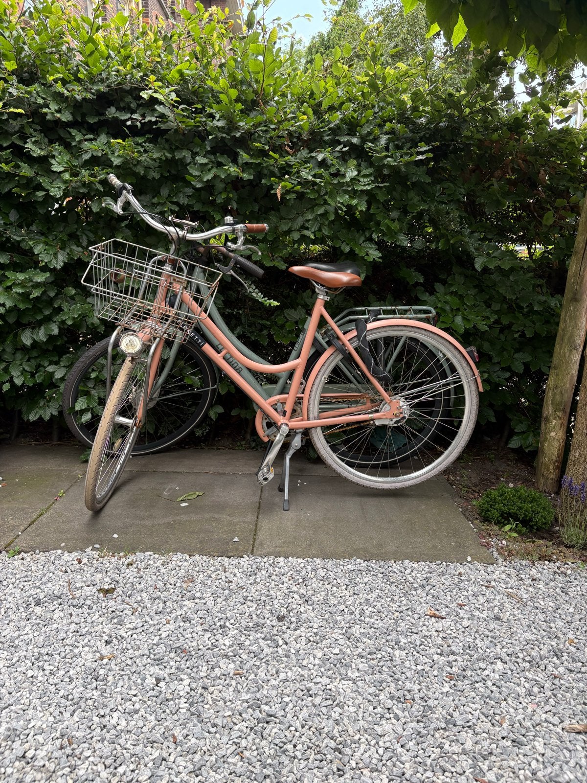 Roze damesfiets met mand - Veloretti, Fietsen en Brommers, Fietsen | Dames | Damesfietsen, Gebruikt, Overige merken, (Extra) lage instap