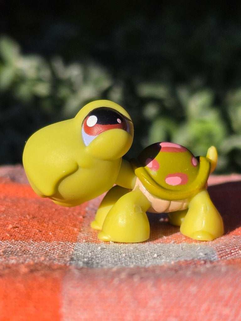 LPS Littlest pet shop [#008] Turtle – Hasbro, Kinderen en Baby's, Ophalen of Verzenden, Zo goed als nieuw, Jongen of Meisje