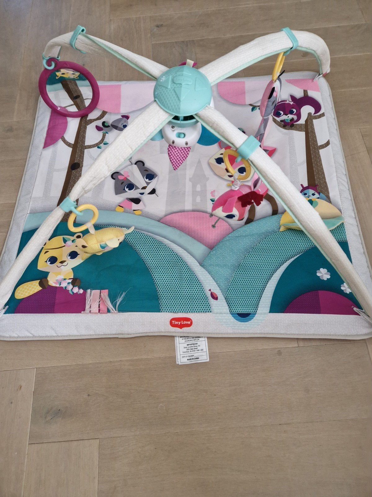 Tiny Love speelkleed/babygym Princess Tales, Ophalen, Zo goed als nieuw