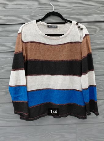 Betty Barclay Trui Maat 44, Kleding | Dames, Truien en Vesten, Overige kleuren, Verzenden, Maat 42/44 (L), Betty Barclay