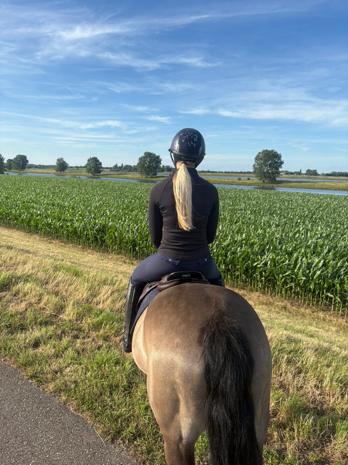 Gezocht weiland met stallen omgeving Berghem, Weidegang, 2 of 3 paarden of pony's