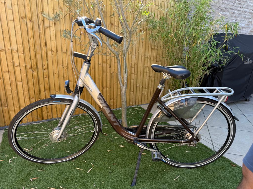 Giant Ultimo damesfiets met lage instap, Versnellingen, 0 zitjes, Trommelrem, 53 tot 56 cm