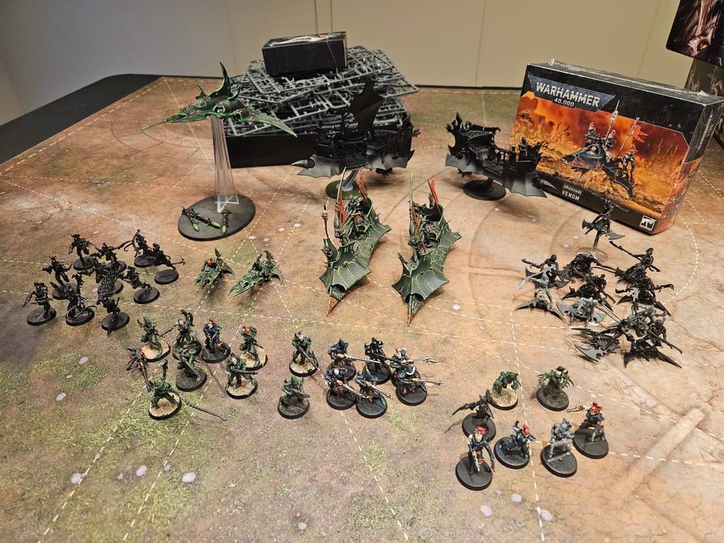 Drukhari Leger - Warhammer 40.000 - Geverfde Miniaturen, Gebruikt, Verzenden, Figuurtje(s), Warhammer 40000