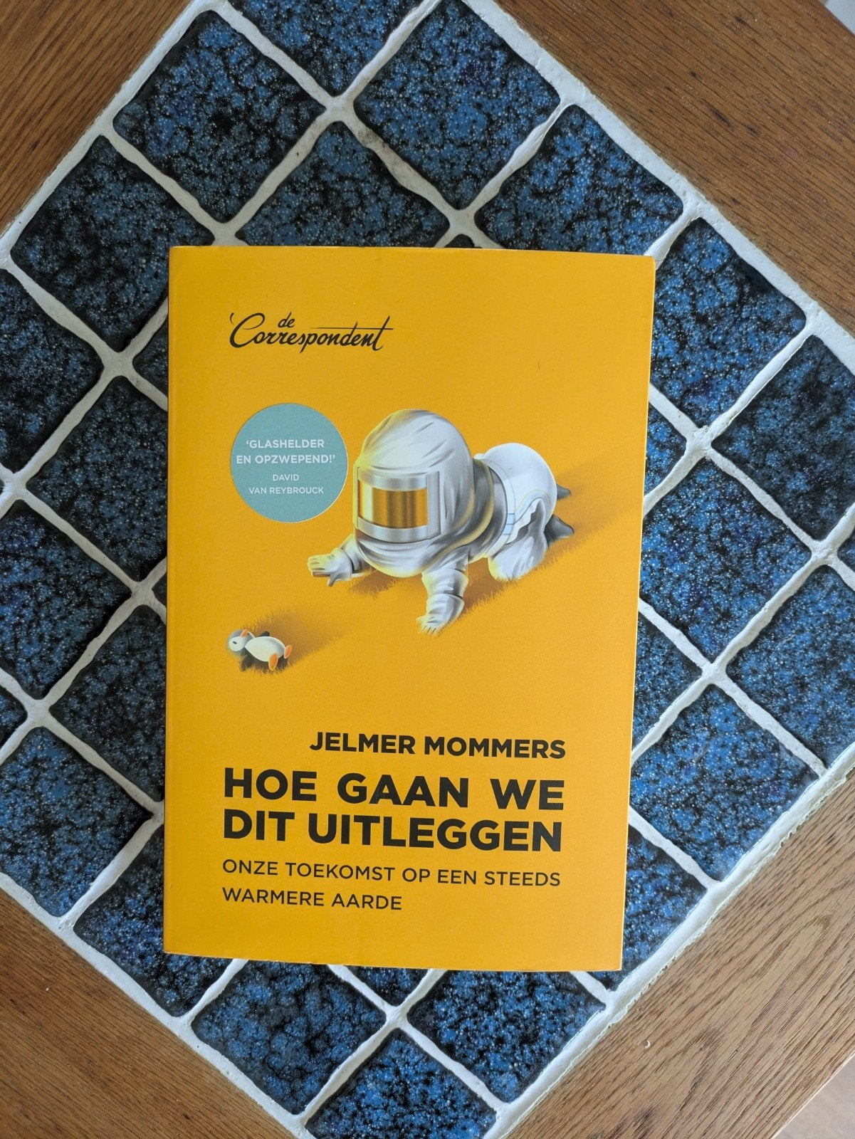 Jelmer Mommers - Hoe gaan we dit uitleggen, Verzenden, Zo goed als nieuw, Jelmer Mommers