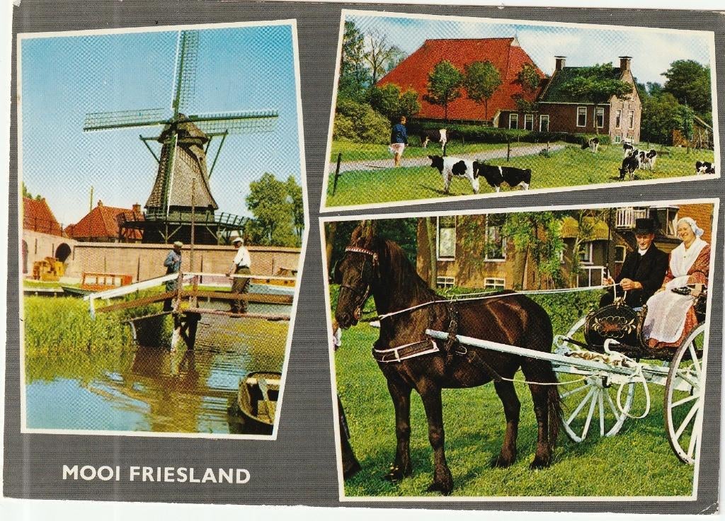 Ansichtkaart Mooi Friesland, Ophalen of Verzenden, 1980 tot heden, Gelopen, Friesland