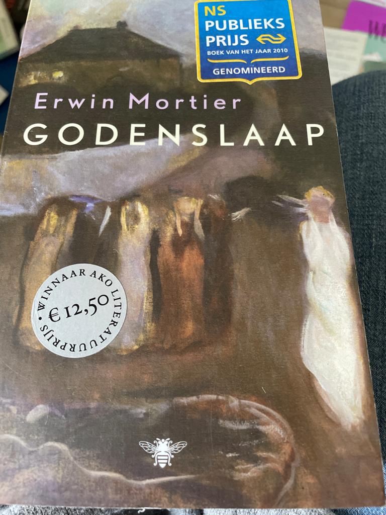 Godenslaap - Erwin Mortier (NS Publieksprijs genomineerd), Ophalen of Verzenden, Gelezen, Nederland