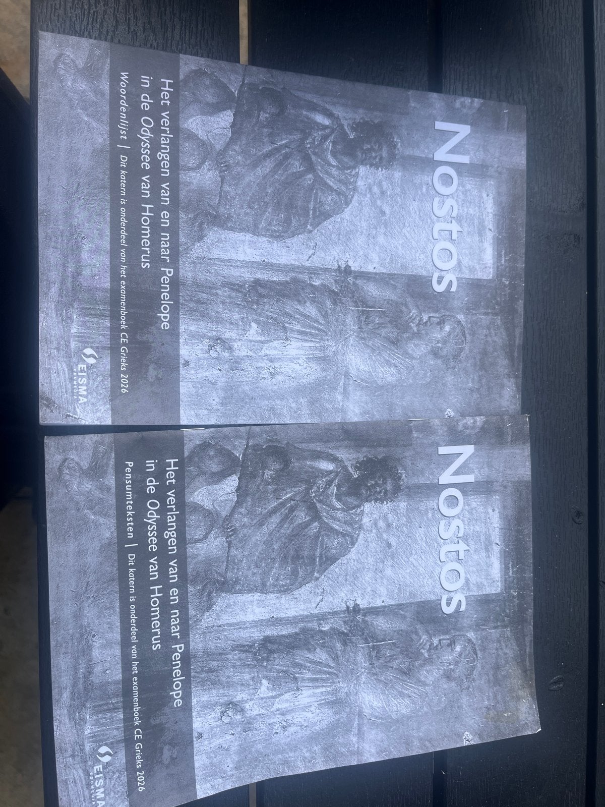 Nostos: Het verlangen van en naar Penelope (2 boeken), Ophalen of Verzenden, Alpha, Zo goed als nieuw, WO
