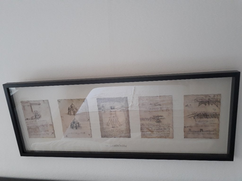 Leonardo da Vinci tekeningen, ingelijst 100x40, Ophalen, Leonardo da Vinci, Zo goed als nieuw, Overige onderwerpen