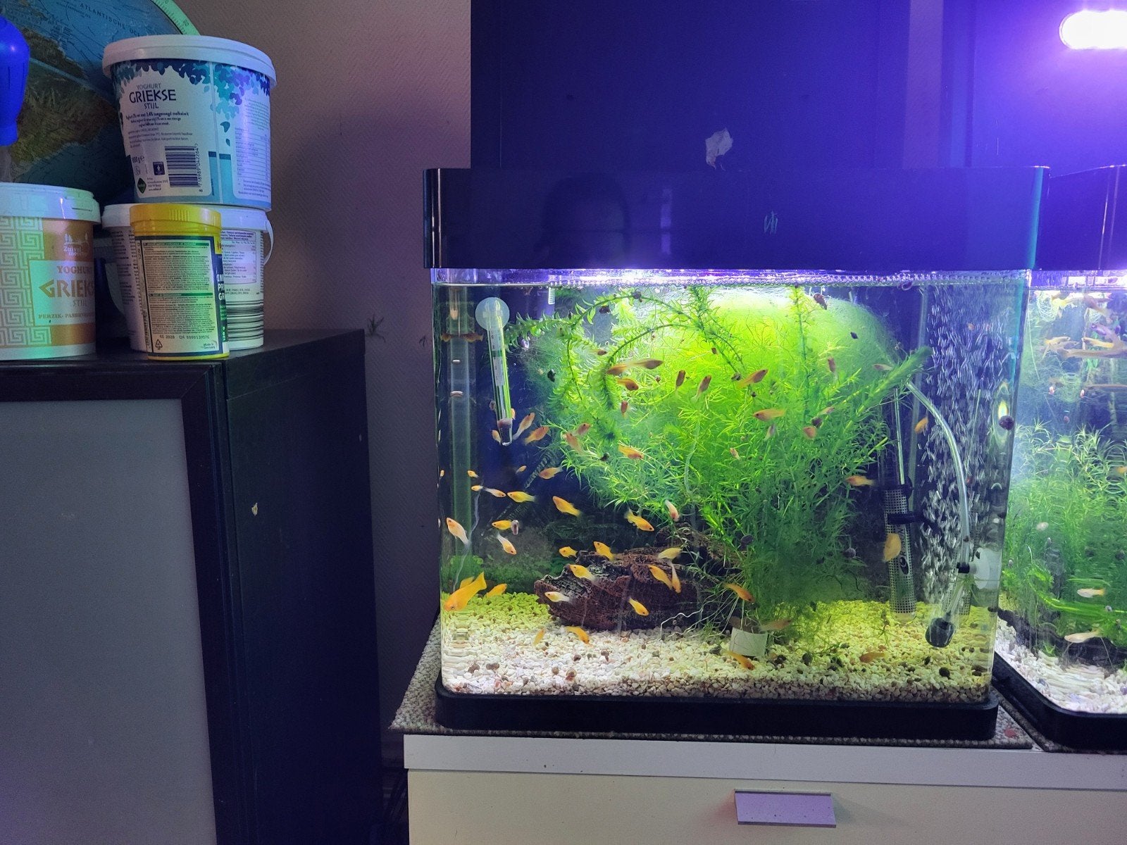 Panorama led aquarium 49liter SuperFish, Ophalen, Zo goed als nieuw, Leeg aquarium