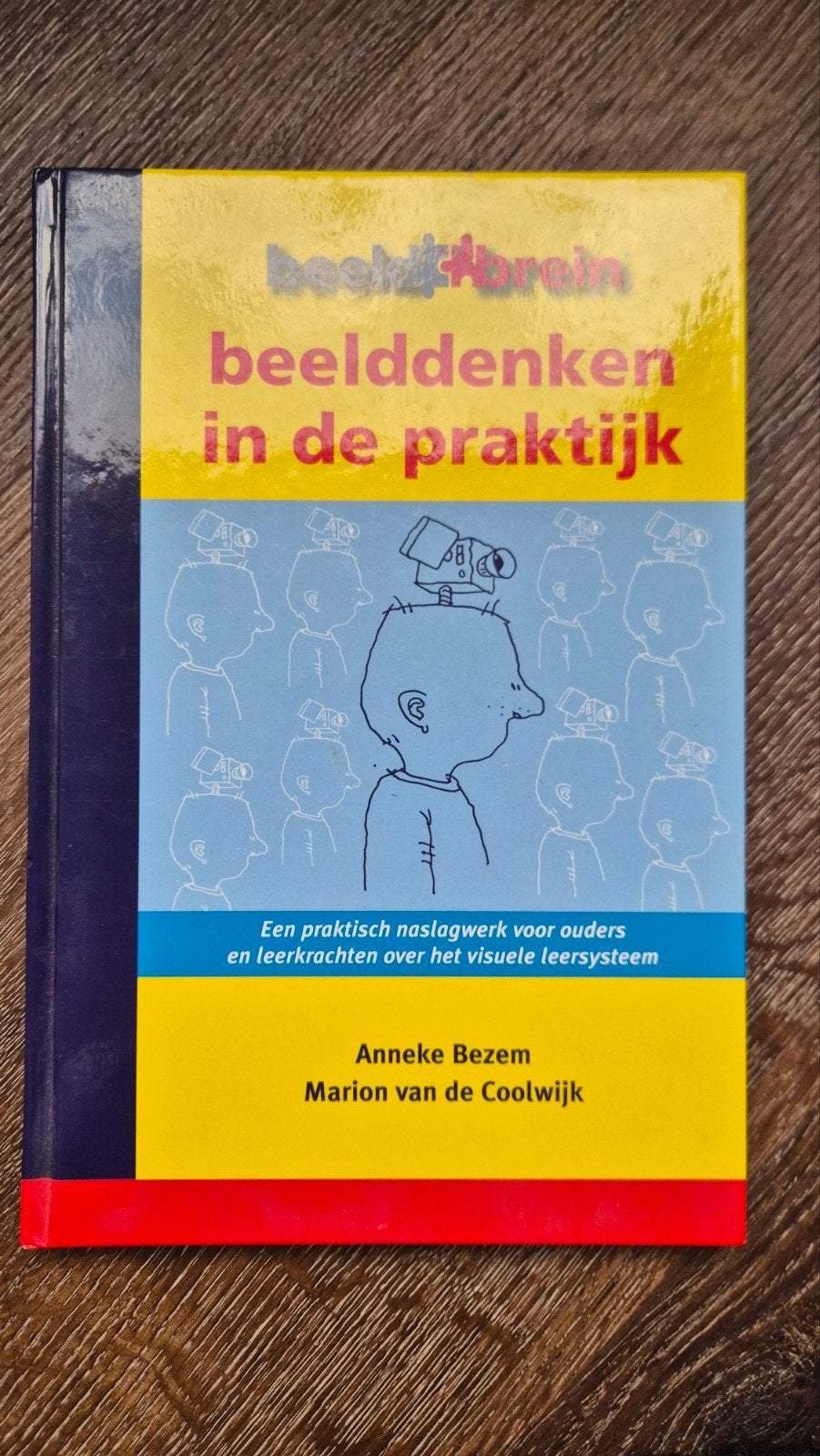 Beelddenken in de praktijk:Anneke Bezem & Marion van de Coo, Ophalen, Zo goed als nieuw, Anneke Bezem, Marion van de Coolwijk
