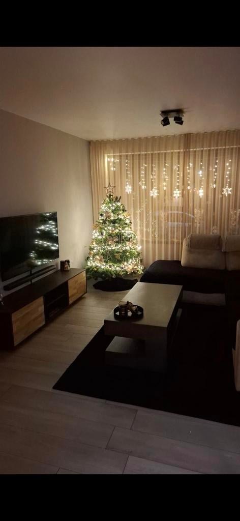 Kunst kerstboom, Diversen, Kerst, Ophalen