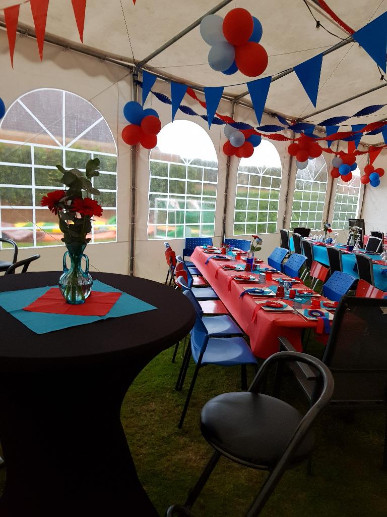 Zeer nette semi pro party tent 8 x 12 meter, Tuin en Terras, Partytenten, Ophalen, Partytent, 6 meter of meer, Zo goed als nieuw