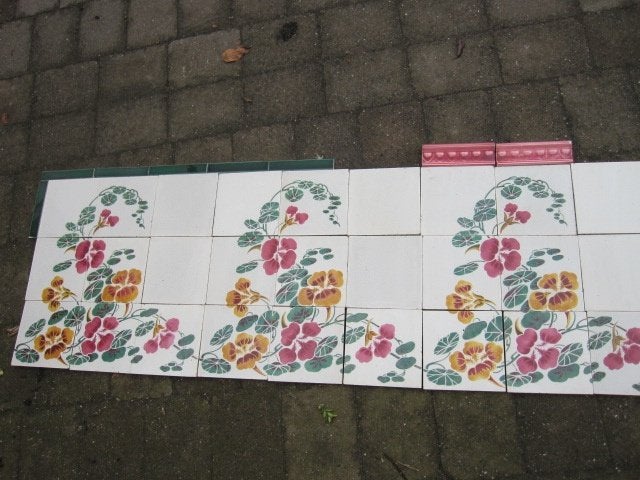 315x45cm Wandtegels prachtige afbeelding Oost-Indische kers, Ophalen