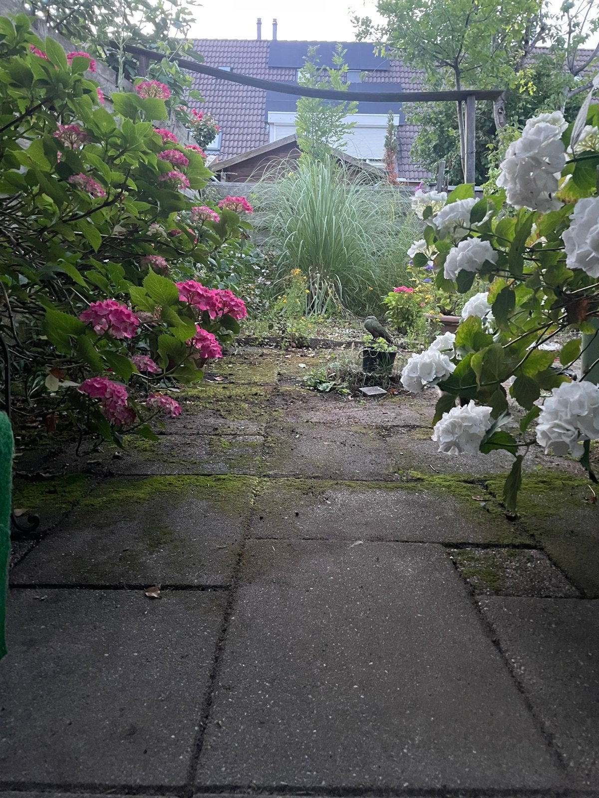 Kamers te huur in zwolle zuid, Ophalen of Verzenden, Zo goed als nieuw, Hout