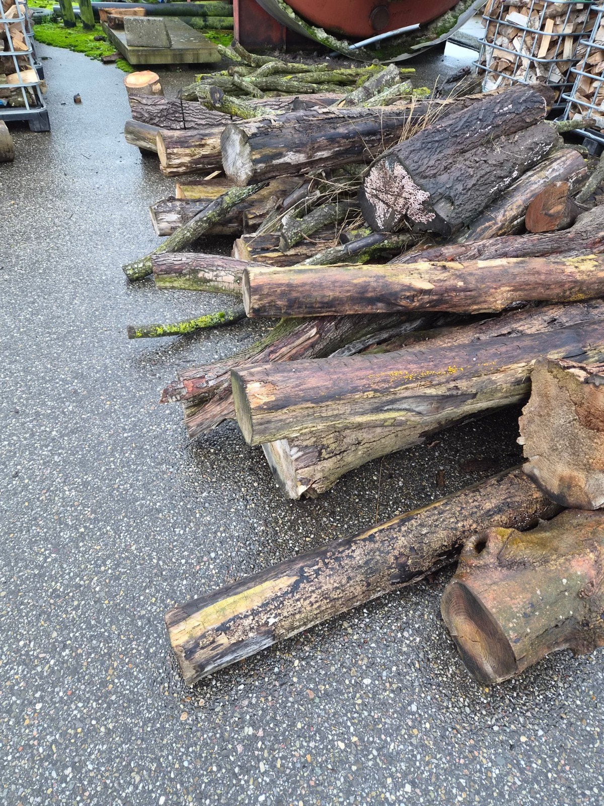 Stamhout/resthout, Tuin en Terras, 3 tot 6 m³, Ophalen, Stammen