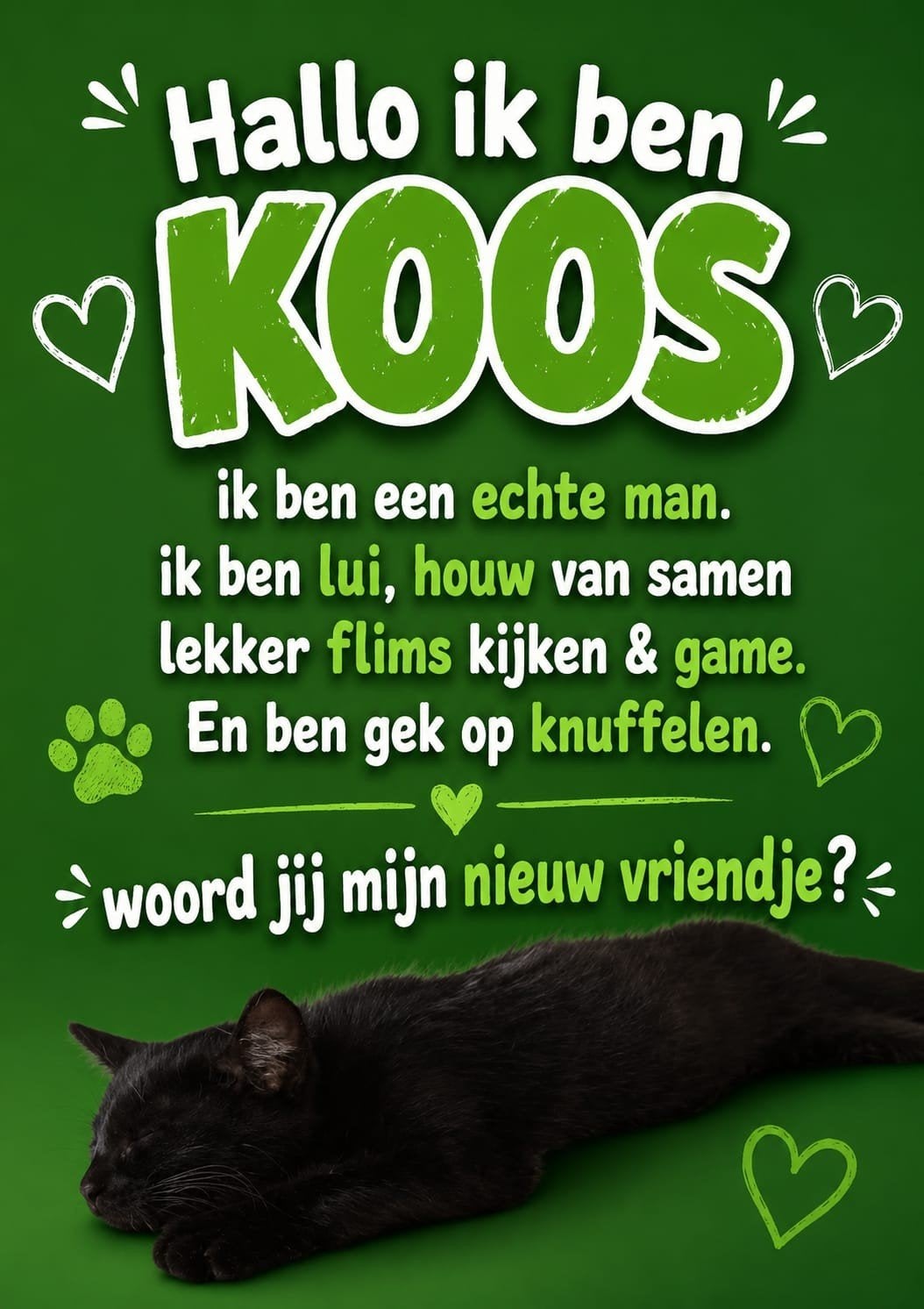 wil niemand ons een goud mandje geven met knuffels en liefde