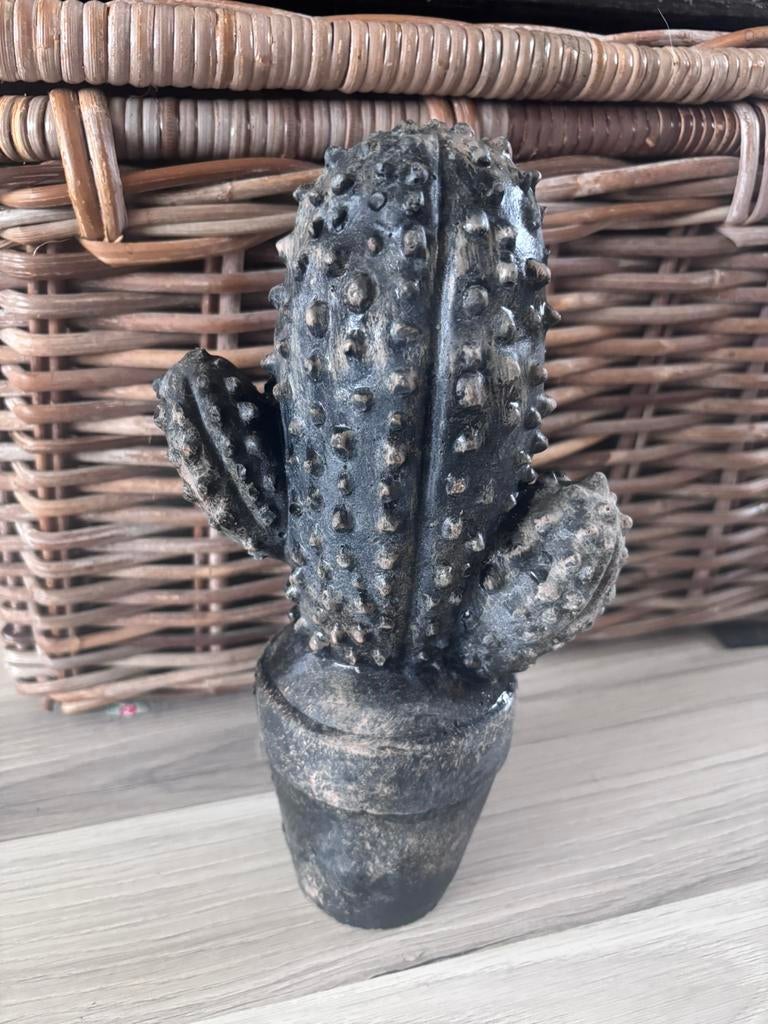 Stenen cactus, Ophalen, Zo goed als nieuw