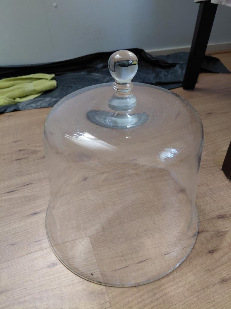 Glazen stolp - Gaaf - 35 cm hoog, Huis en Inrichting, Woonaccessoires | Stolpen, Zo goed als nieuw, Ophalen of Verzenden