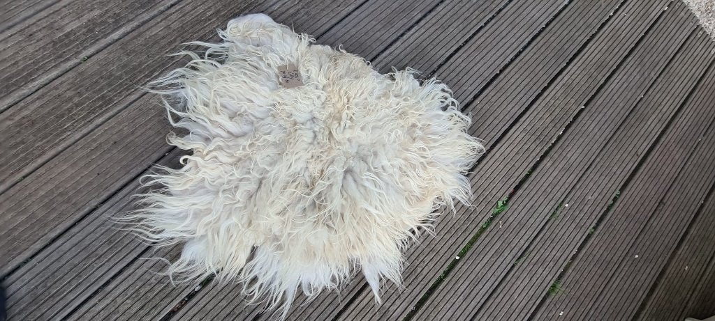 Drentse heideschaap vacht, 50 tot 100 cm, 50 tot 100 cm, Zo goed als nieuw, Natuurlijk, Bio, Echte vacht