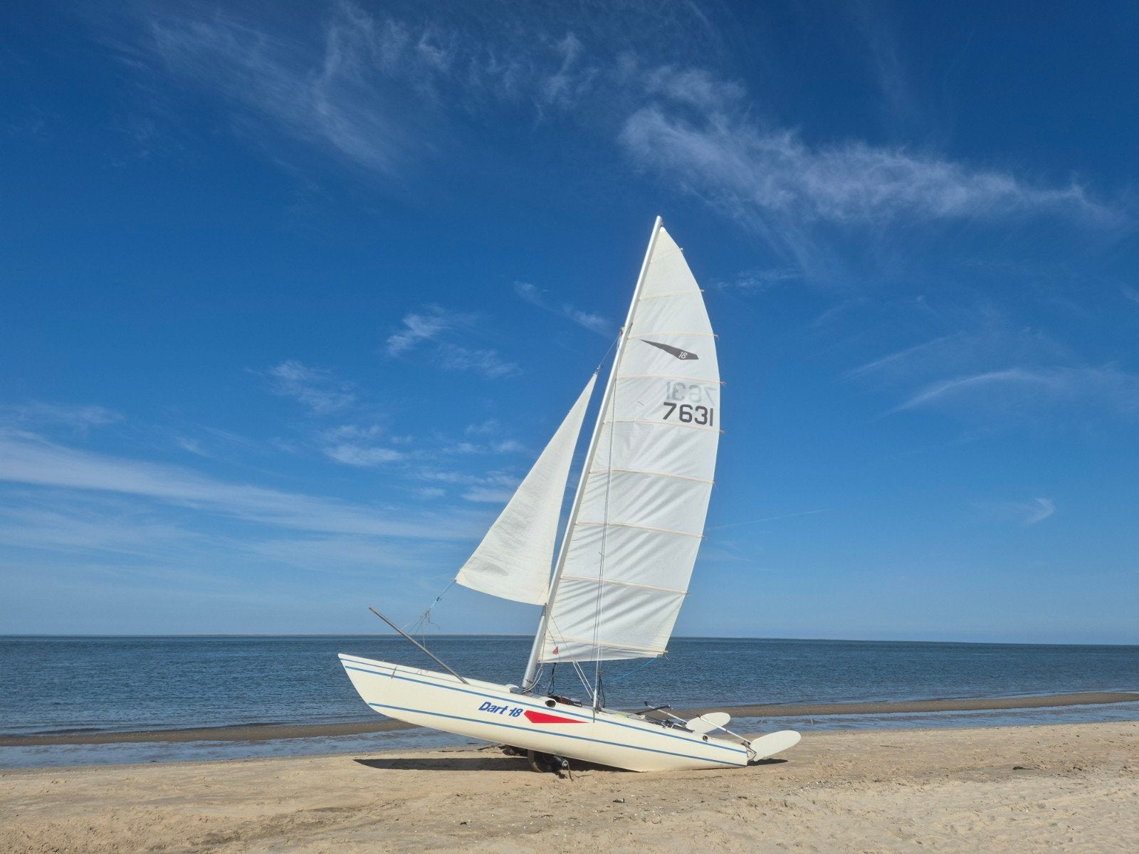 Dart 18 Catamaran - Zeilklaar en in goede staat, Watersport en Boten, Ophalen, Gebruikt, Geen motor, Overige modellen