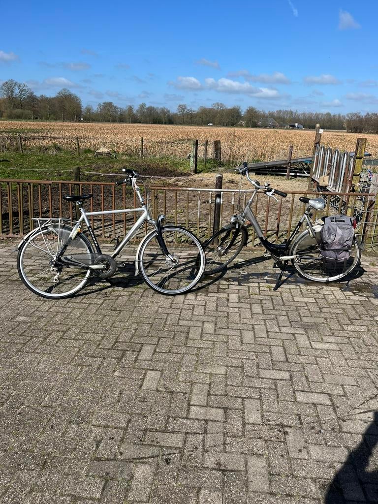 Gazelle medeo lichtmetalen zilveren fietsen, Ophalen, Gebruikt, Vering, 55 cm of meer