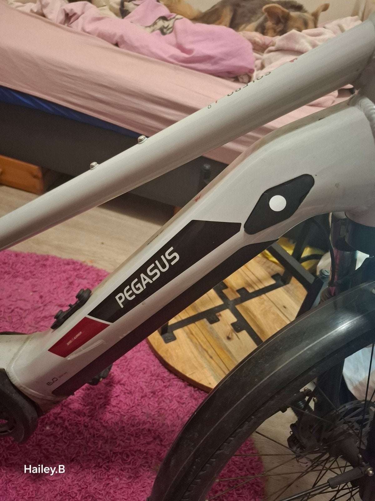 bosch pegasus solero evo 9 elektrische fiets, Fietsen en Brommers, Ophalen, Overige merken