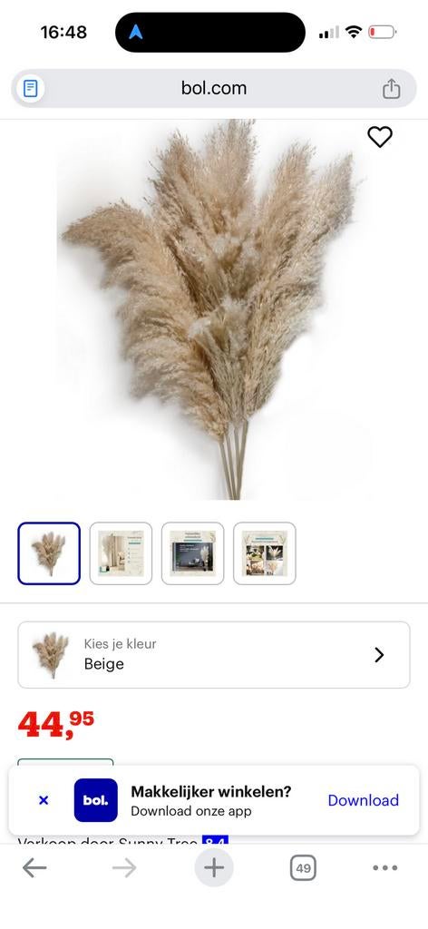 Pampas pluimen, Ophalen of Verzenden, Nieuw