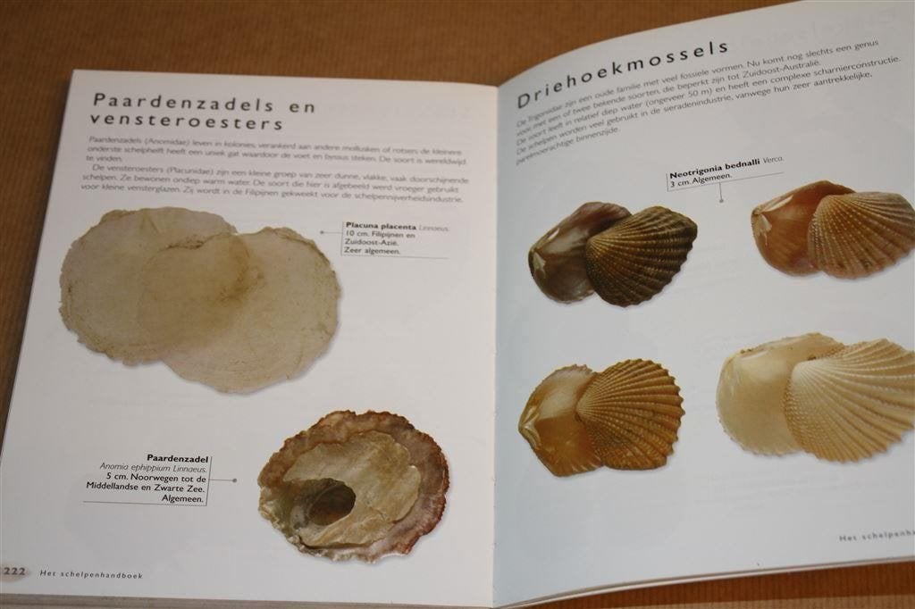 Het schelpen handboek., Verzenden, Schelp(en)