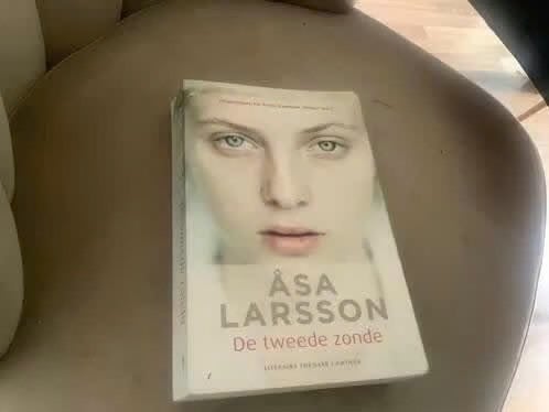 De Tweede Zonde - Åsa Larsson, Scandinavië, Verzenden, Gelezen, Åsa Larsson