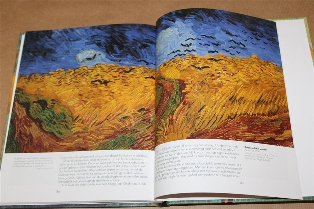 Vincent van Gogh, 1853-1890. Visie en werkelijkheid., Boeken, Ophalen of Verzenden, Zo goed als nieuw