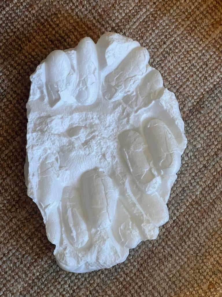 3D print dinosaurus nest met eieren, Ophalen