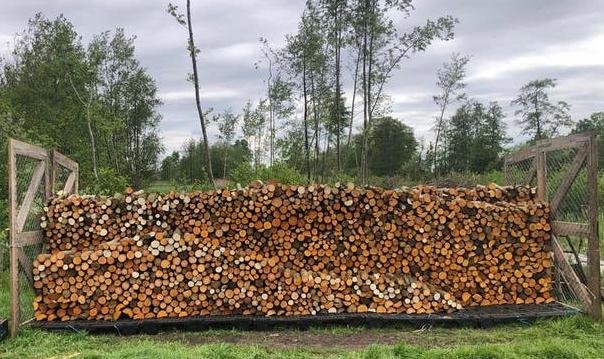 Haardhout: Elzen- en wilgenhout, gekloofd, 30cm, Tuin en Terras, 6 m³ of meer, Ophalen of Verzenden, Elzenhout, Blokken