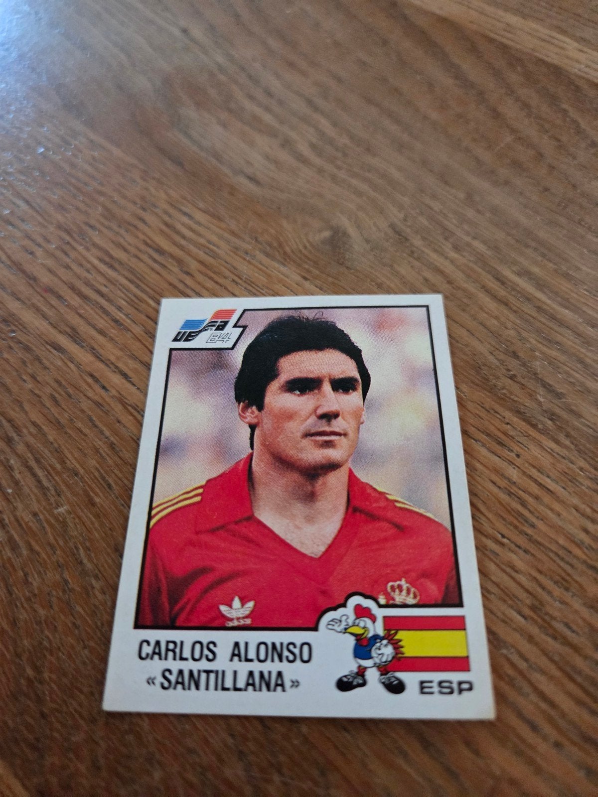Panini EK 84, Ophalen of Verzenden, Zo goed als nieuw, Buitenlandse clubs, Poster, Plaatje of Sticker