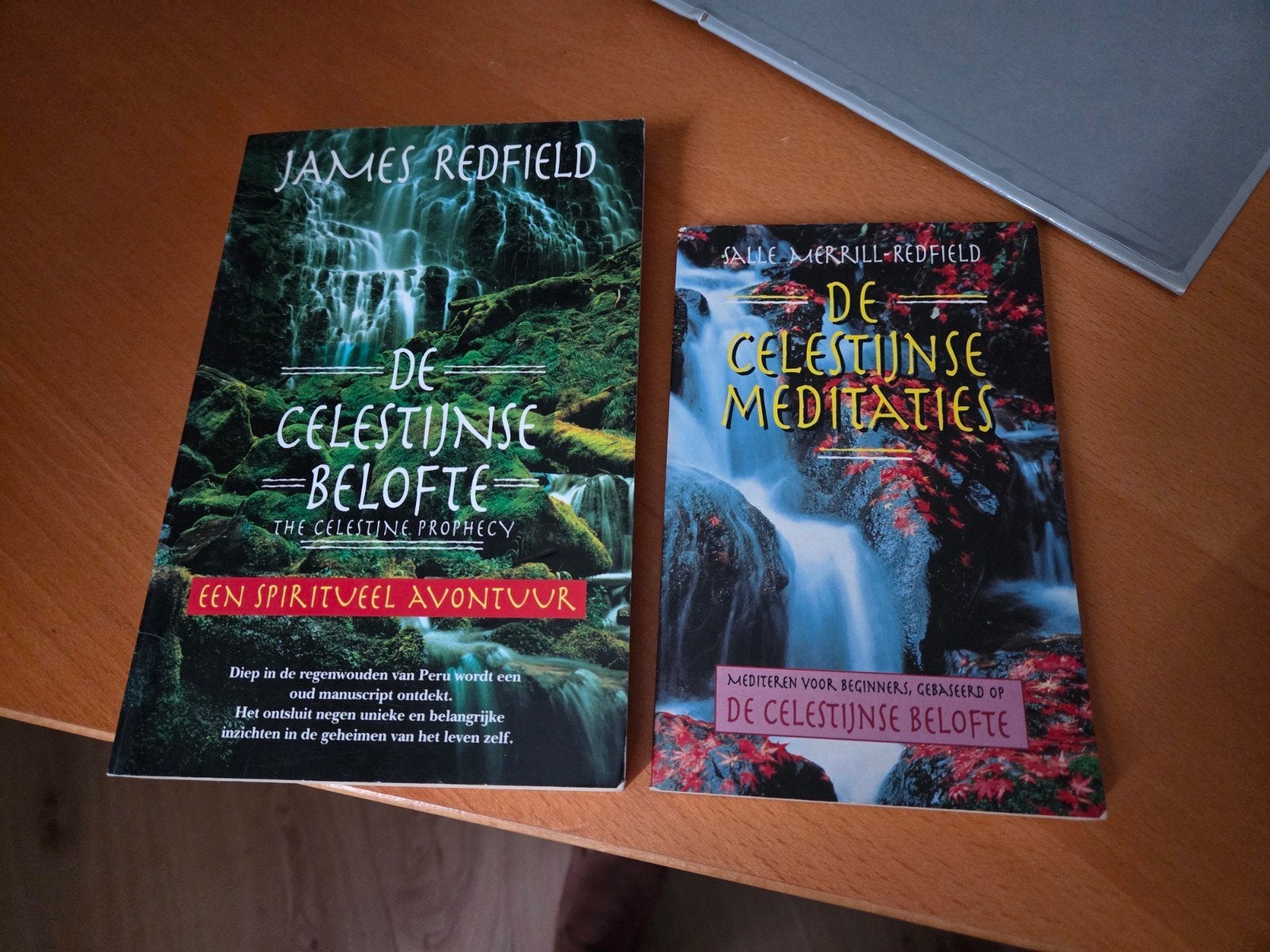 De Celestijnse Belofte & Meditaties - James Redfield, Gelezen, Achtergrond en Informatie, Ophalen of Verzenden, Spiritualiteit algemeen