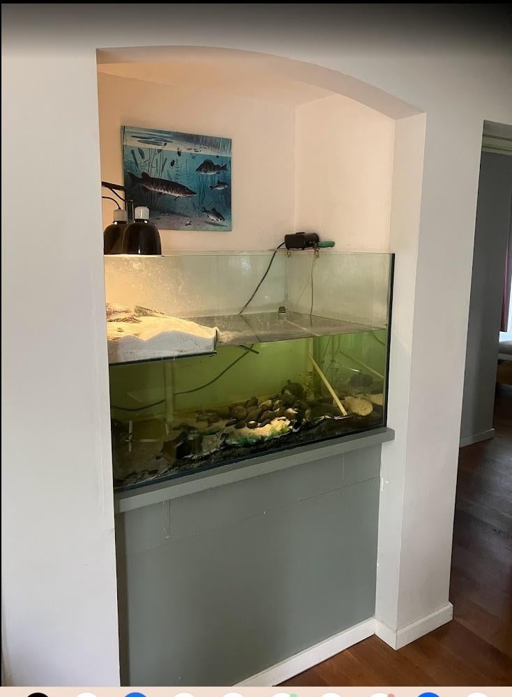 schildpadden bak, Ophalen, Gebruikt, Terrarium of Paludarium