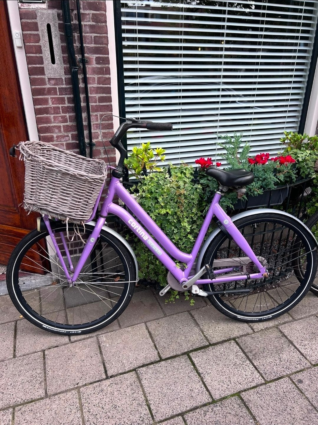 Cortina fiets - paars met mand, Terugtraprem, Gebruikt, Versnellingen, 50 tot 53 cm
